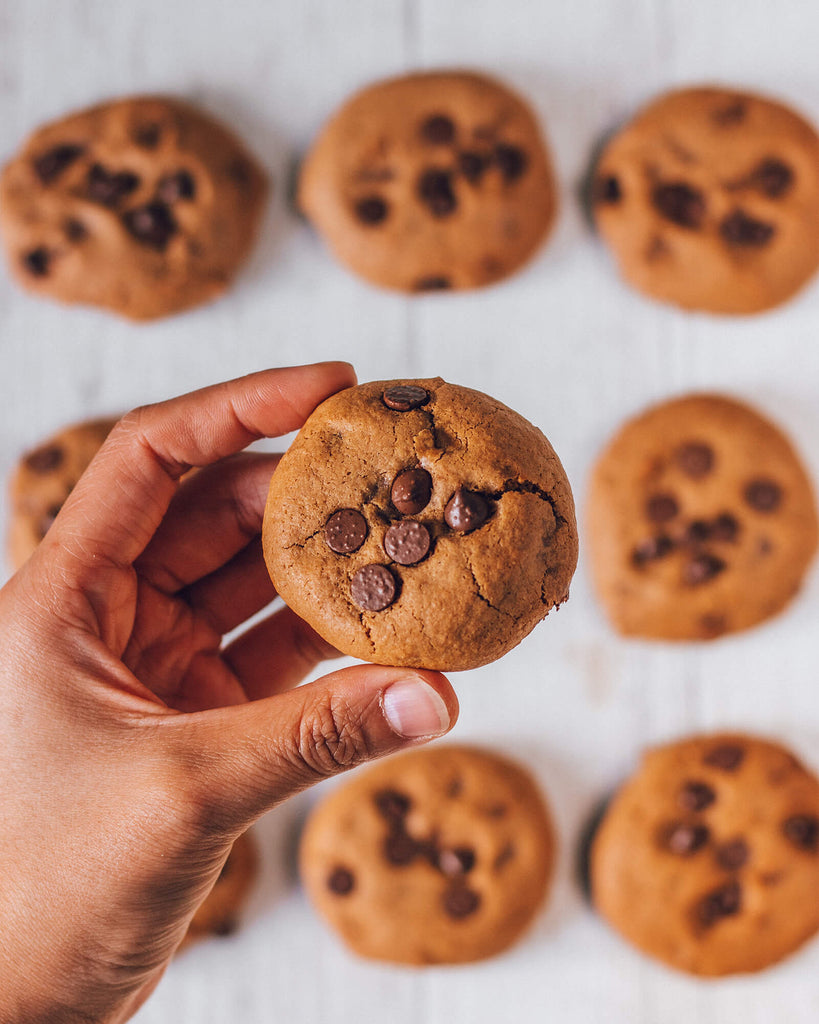 MINI CHOC CHIP PROTEIN COOKIES
  
  
  
    | Tropeaka