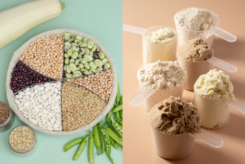protein sources