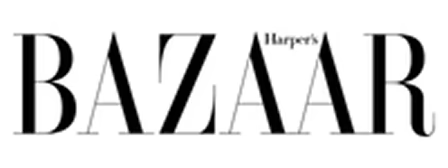 Company Logo Image 4